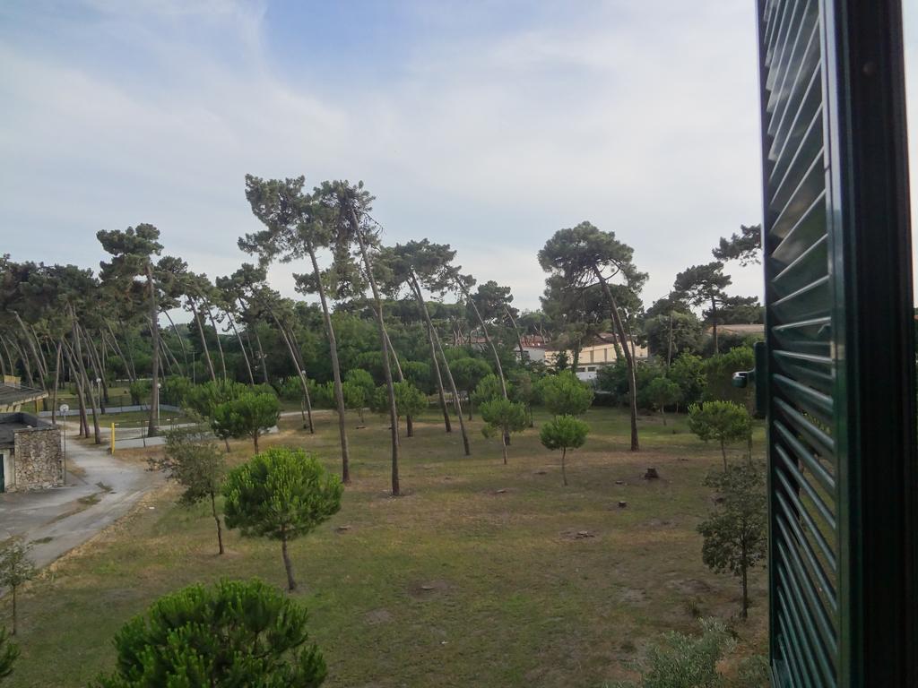 La Pineta Apartment Viareggio Eksteriør bilde