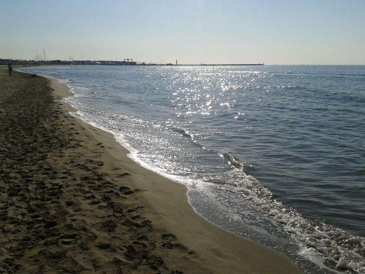 La Pineta Apartment Viareggio Eksteriør bilde